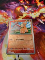 Camaub (OBF 031) / Reverse Holo / Obsidianflammen
