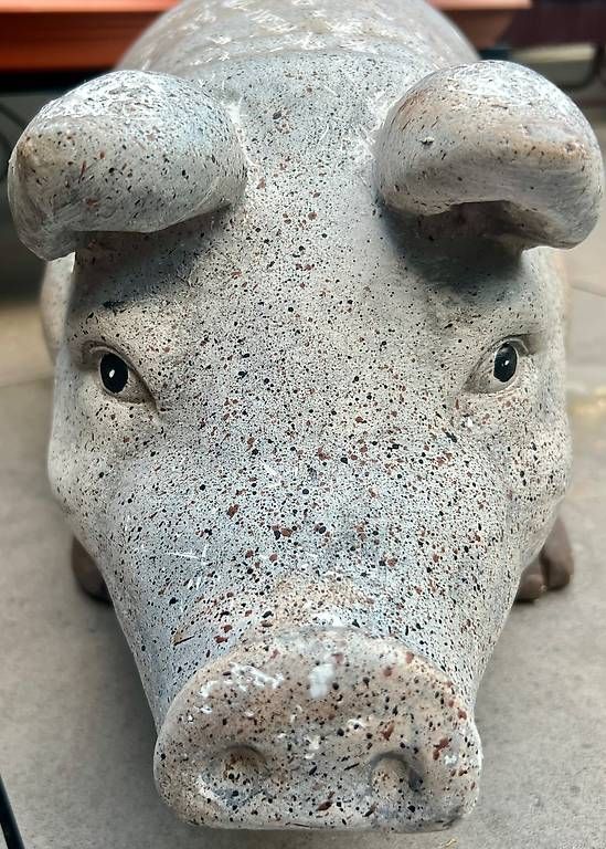 Großes Sparschwein XXL 53 cm lang, dekorativ (Gebraucht) in Mels für CHF 20 – nur Abholung auf Ricardo kaufen