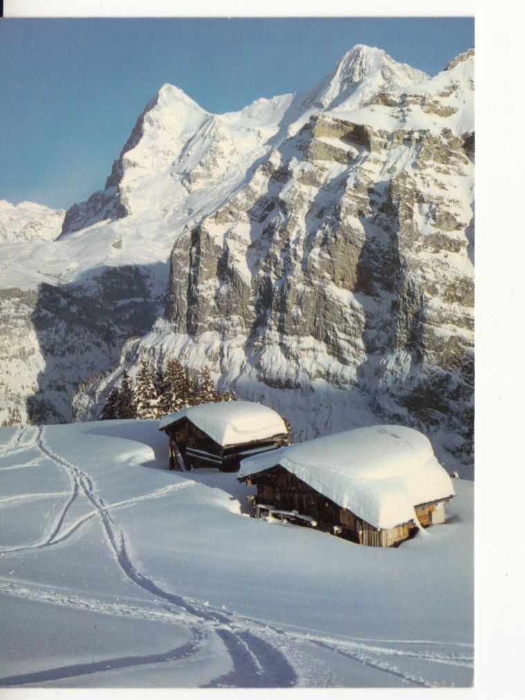 Cartoline postali: Mürren 1980 – Usato da Bürglen TG venduto da StampGraf