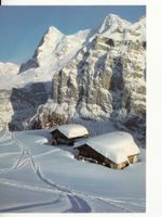 Mürren 1980