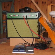 Profile image of ampfox