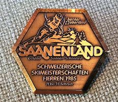 I286 - Saanenland CH Skimeisterschaft 85