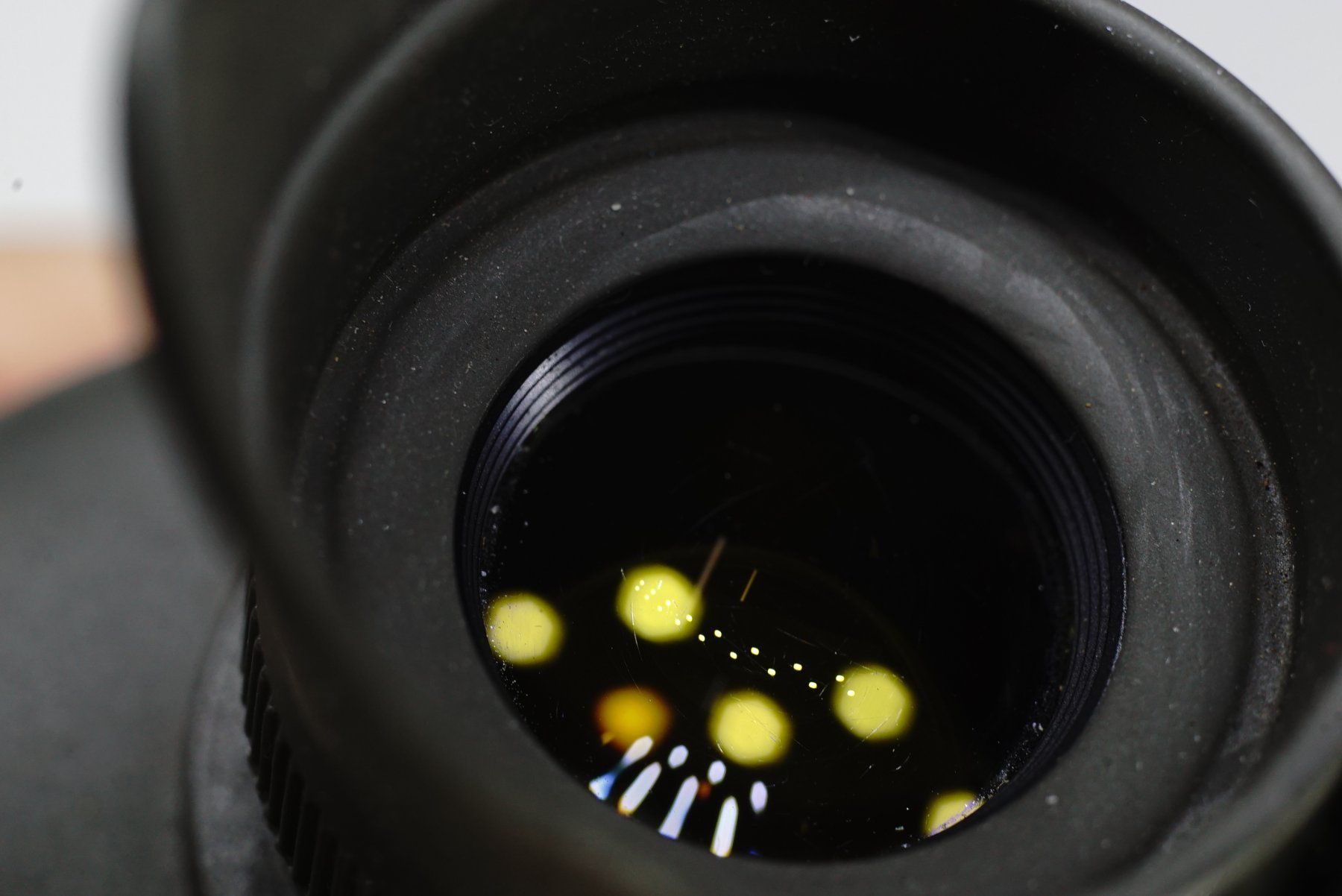 Binocoli: Steiner Nighthunter 7x50 xp – Usato da Bischofszell venduto da Blende2 5