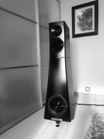 YG Acoustics Hailey Ultra-Hi-End Lautsprecher, super Klang!