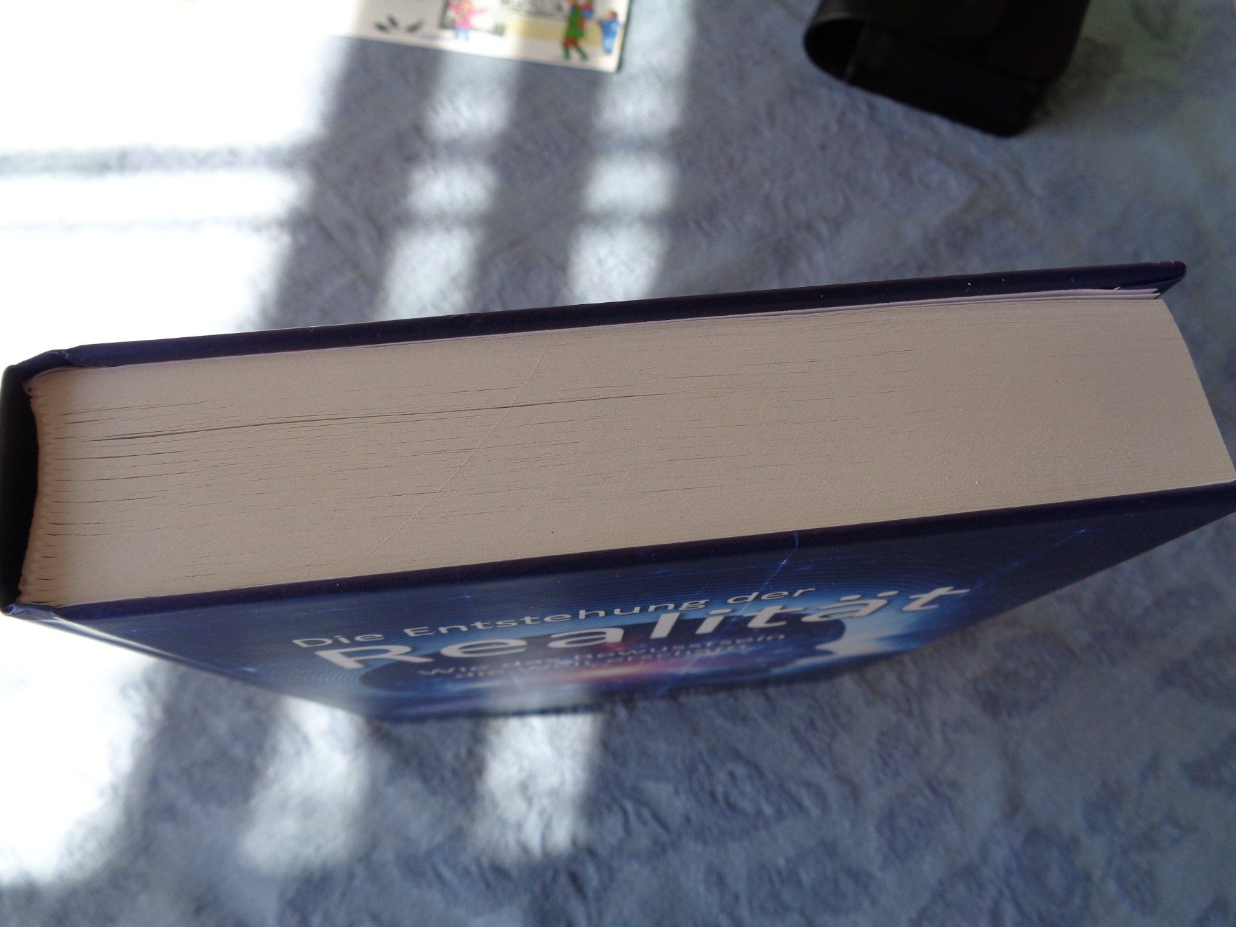 Libri: Die Entstehung der Realität. Jörg Starkmuth – Usato da Wiesendangen venduto da Gullfoss 2