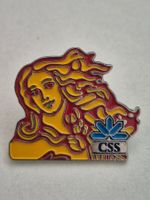 CSS      -     Pin