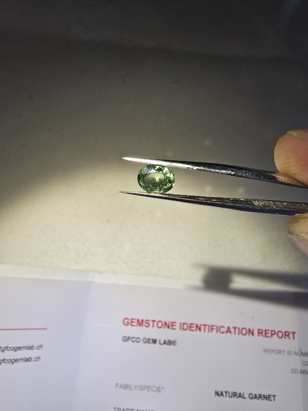 Pietre preziose: Tsavorite naturelle non chauffée – Usato da Carouge GE venduto da fra_sq8s 5