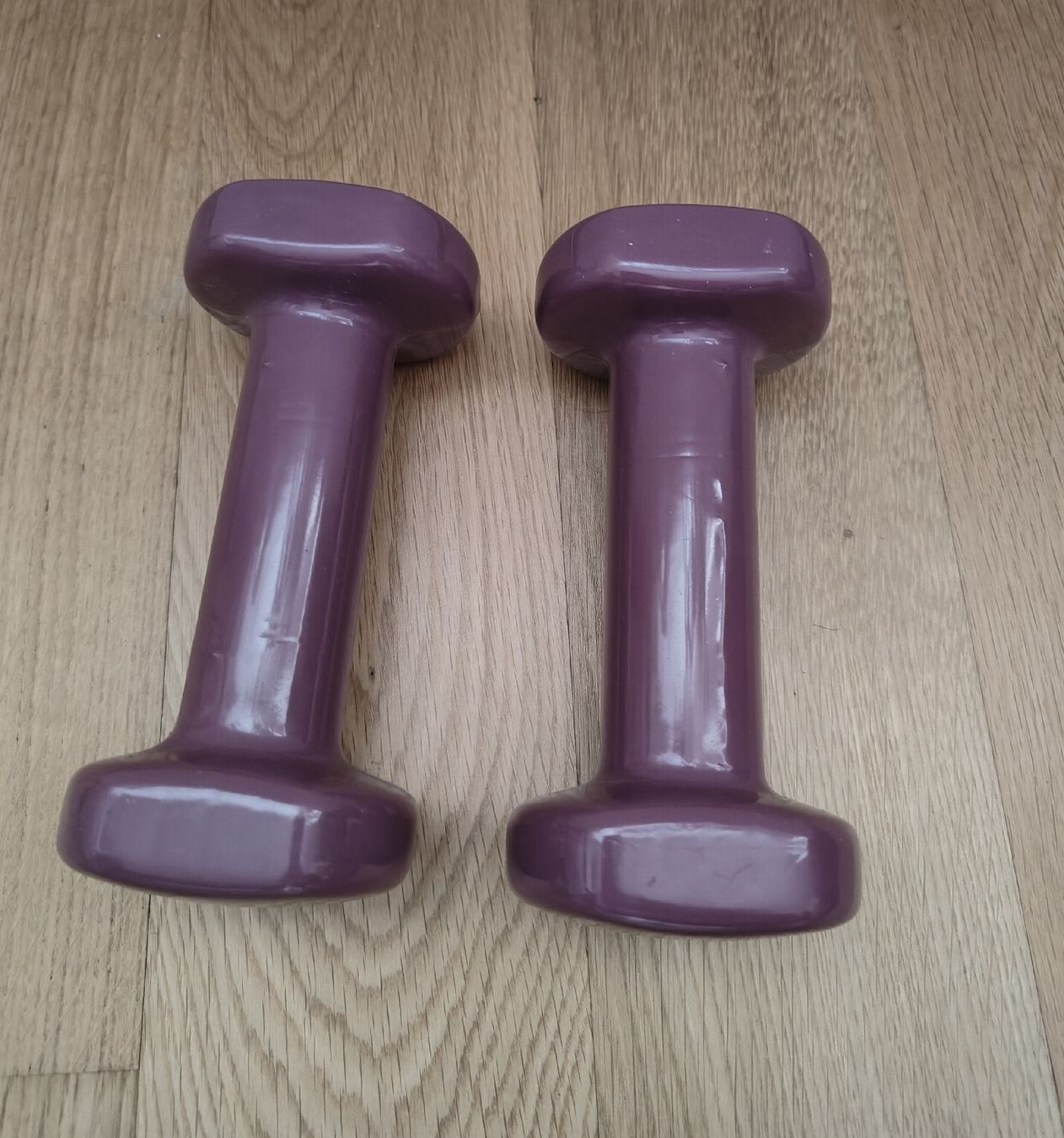 Decathlon Hanteln & Gewichte: Dumbbells 1,5 kg each  – Gebraucht aus Hedingen von oli_jhl5 1
