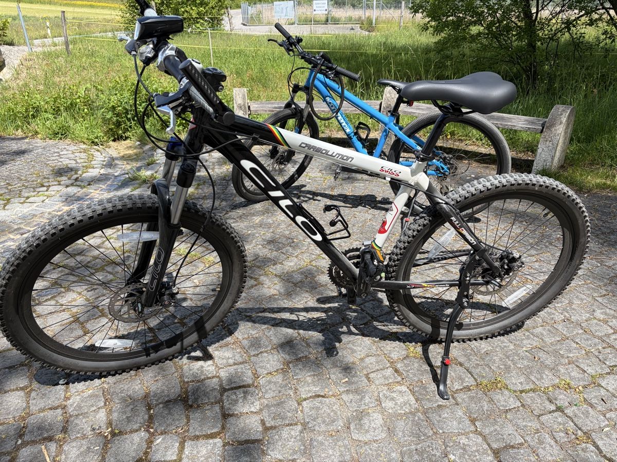 Cilo Biciclette: Cilo Carbolution 26“ Mountainbike – Usato da Zürich venduto da dave5000ch 7