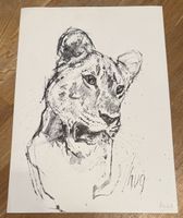 Zeichnung Raubkatze signiert Hug 1962
