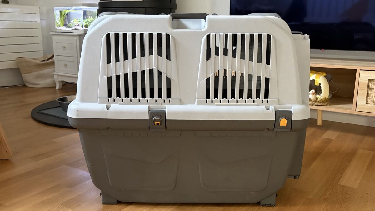 Käfige, Transport & Sicherheit: Hunde Transportbox Skudo Grösse M – Gebraucht aus Dielsdorf von nanita. 1