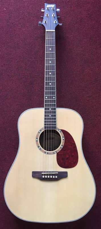 Strumenti musicali: Ashton D25 Akustikgitarre mit Stimmgerät Neu – Nuovo e nell'imballaggio originale da Aesch LU venduto da Musicaudio