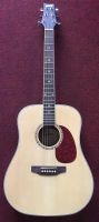 Ashton D25 Akustikgitarre mit Stimmgerät Neu