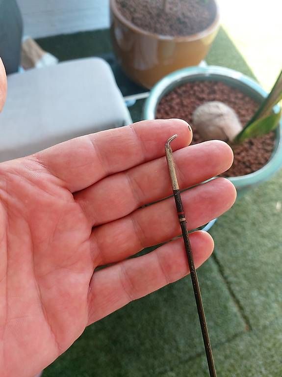 Angelruten: Canne à mouche collector – Gebraucht aus Savièse von mag_58f8