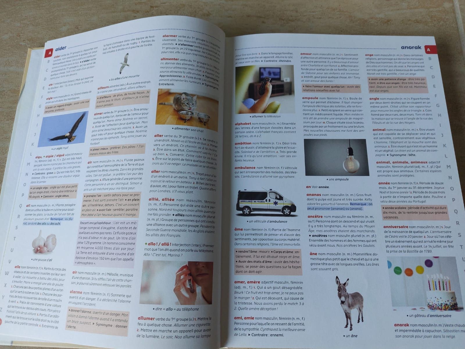 Libri: Dictionnaire Français Junior - Auzou  – Nuovo (secondo la descrizione) da Mont-sur-Lausanne venduto da ane_pgq6 3