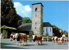 ADELBODEN Kühe mit Plumpen und Glocken durch die Dorfstrasse