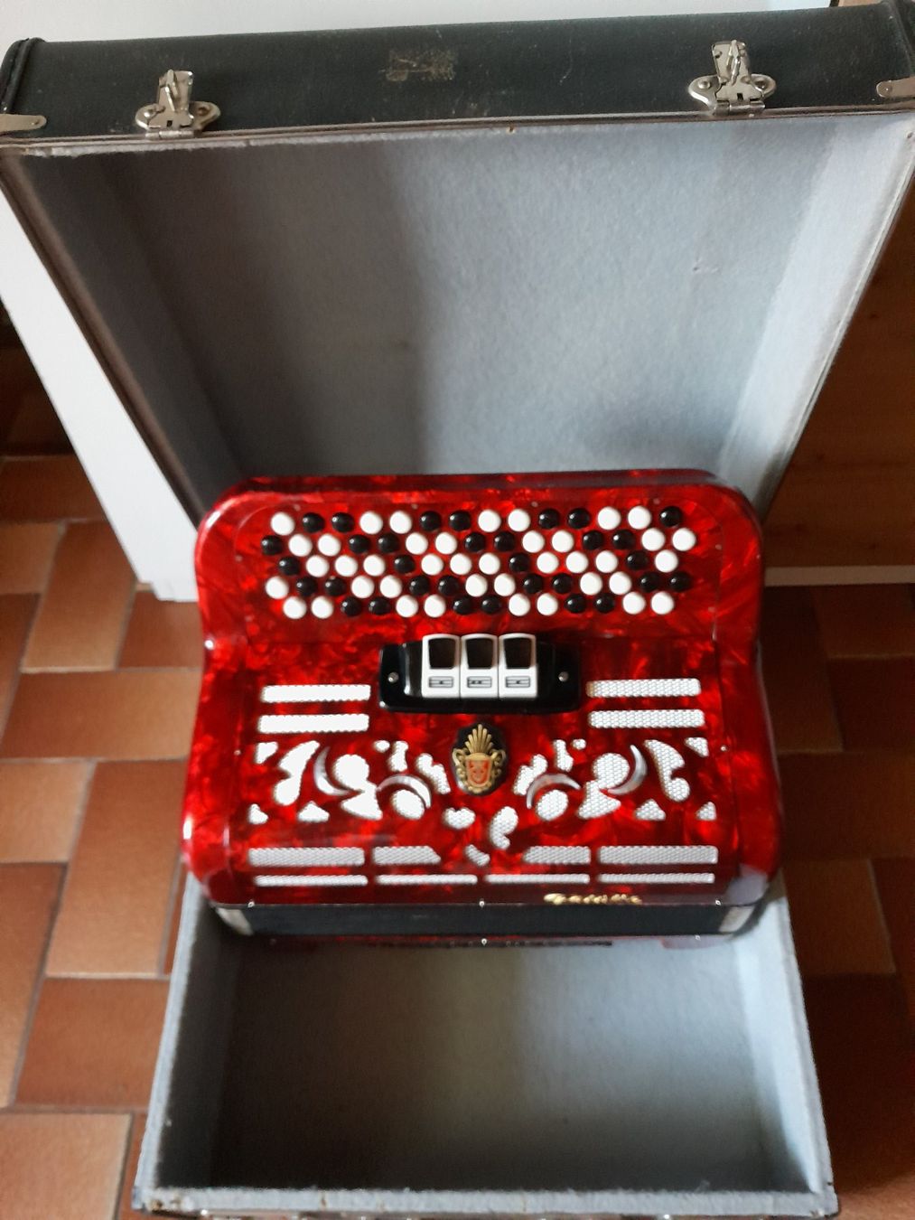 Strumenti musicali: Vends cet accordéon d'occasion – Usato da Val d'Illiez venduto da jbe_2gnx 1
