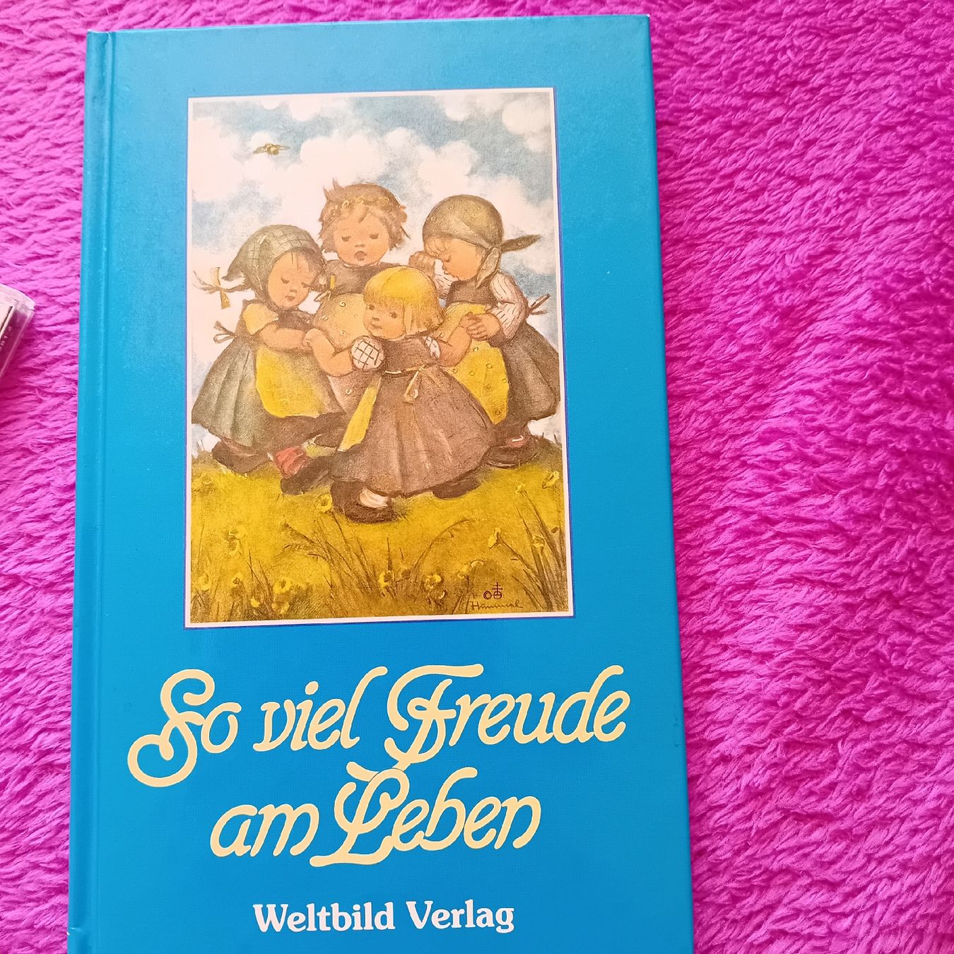 Bücher: Büchlein "So viel Freude am Leben" – Gebraucht aus Witterswil von hele04