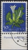 50 Rp. Stechapfel mit TAB (Pomme épineuse)