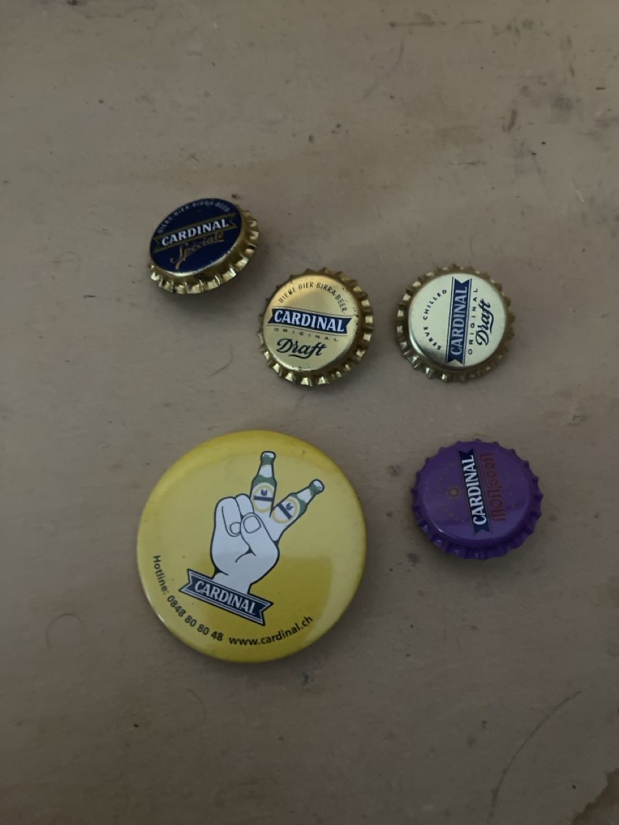 Broches & Aiguilles: Cardinal  – D'occasion à Neyruz FR par Martin0129