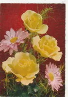 Blumenkarte