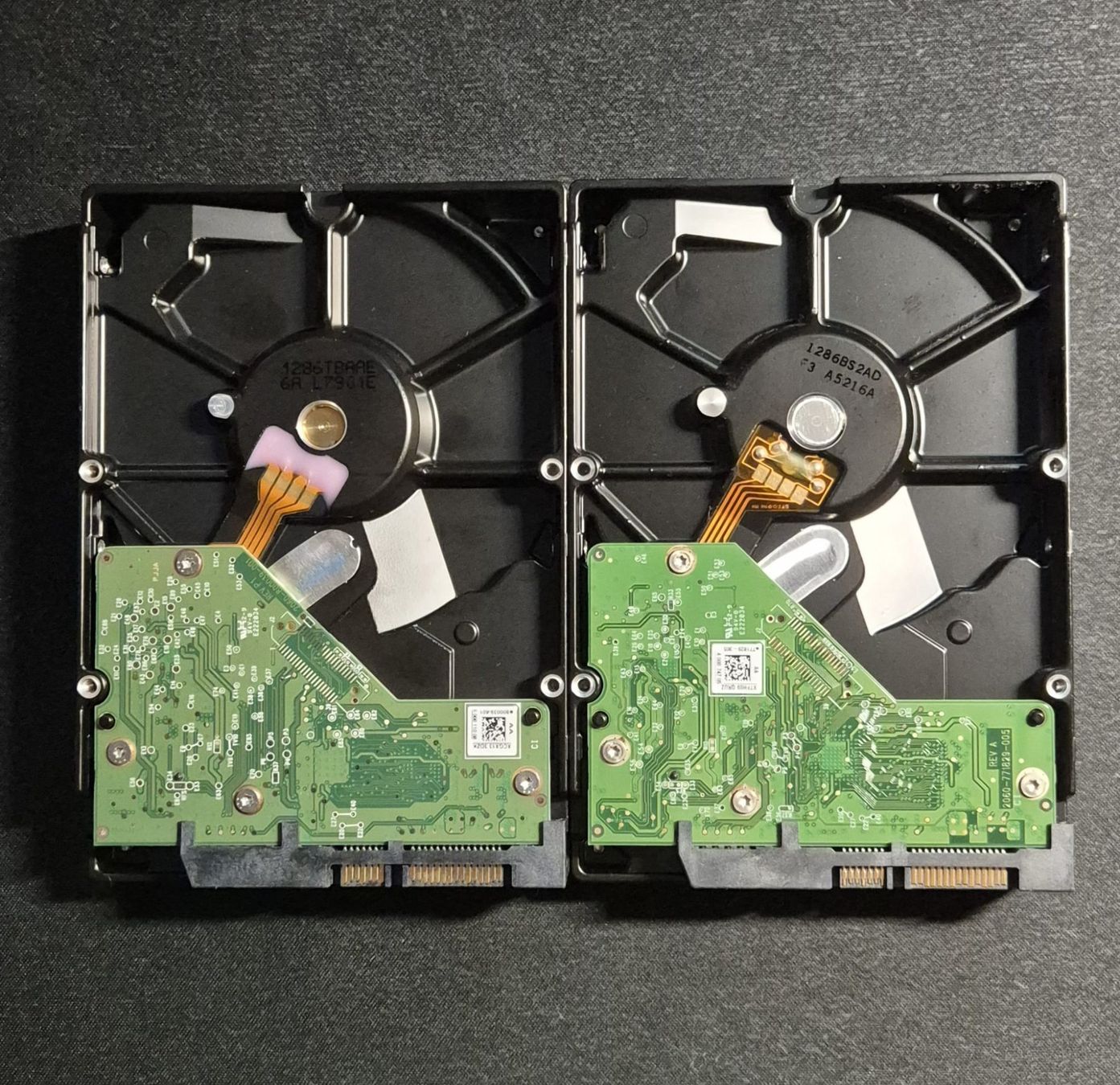 Western Digital Dischi rigidi: 2x HDD Western Digital 1TB - 3.5" - SATA – Usato da Neyruz FR venduto da RetroLab_ 1