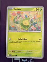 Budew - Pokemon Ascended Heroes