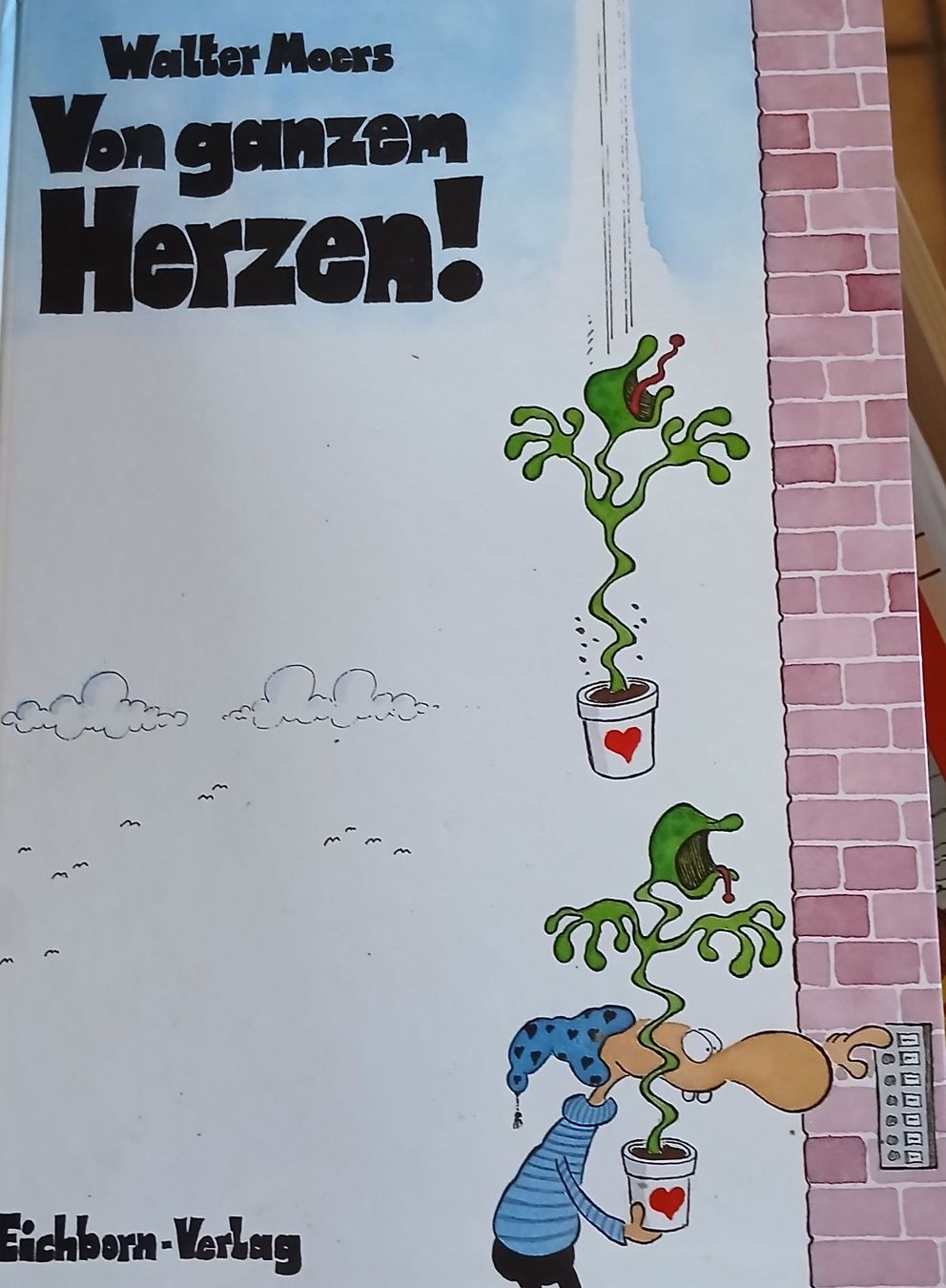 Fumetti: Walter Moers von ganzem Herzen – Usato da Seewen SO venduto da Shami0