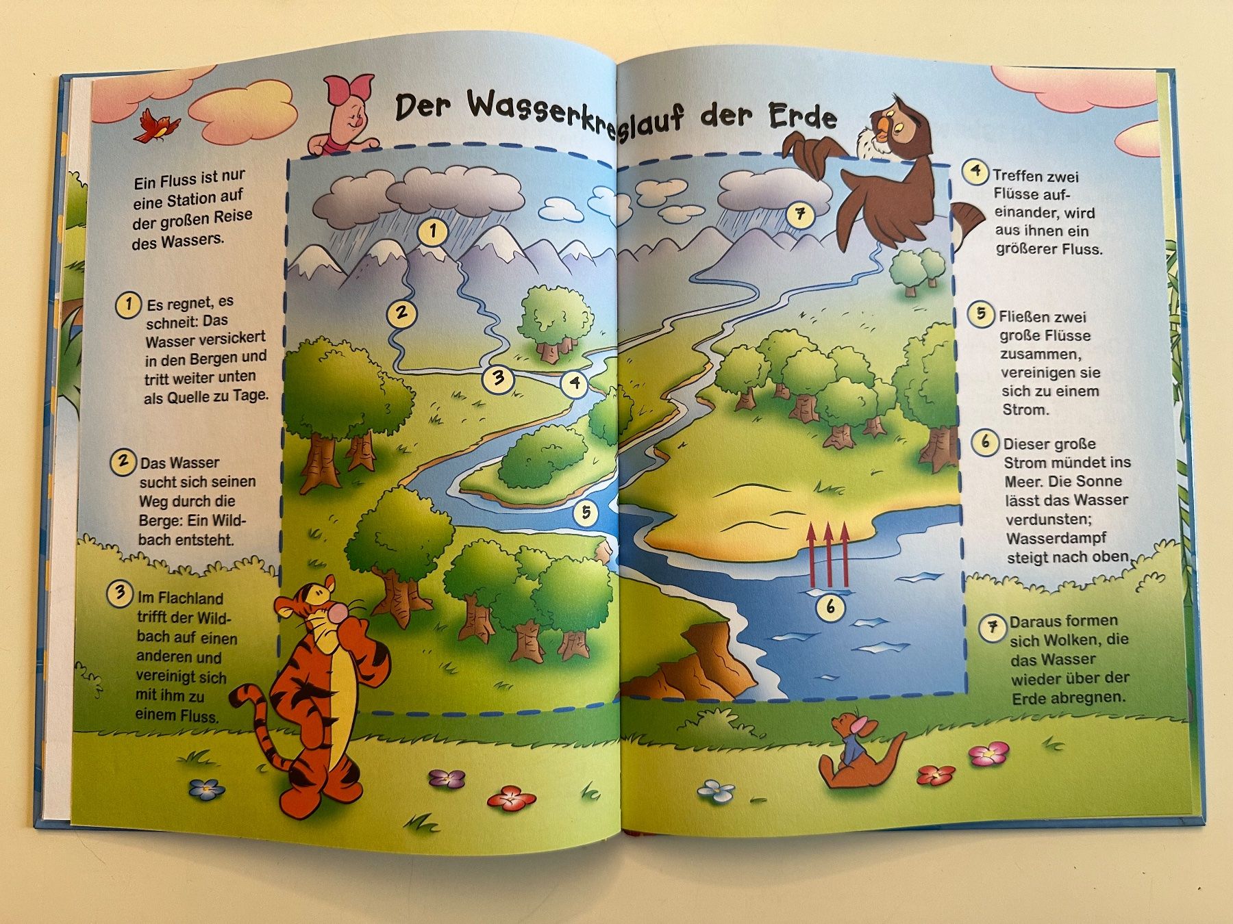 Libri: Winnie Puuh - Entdecke den Fluss – Usato da Münsingen venduto da Ganjam 5