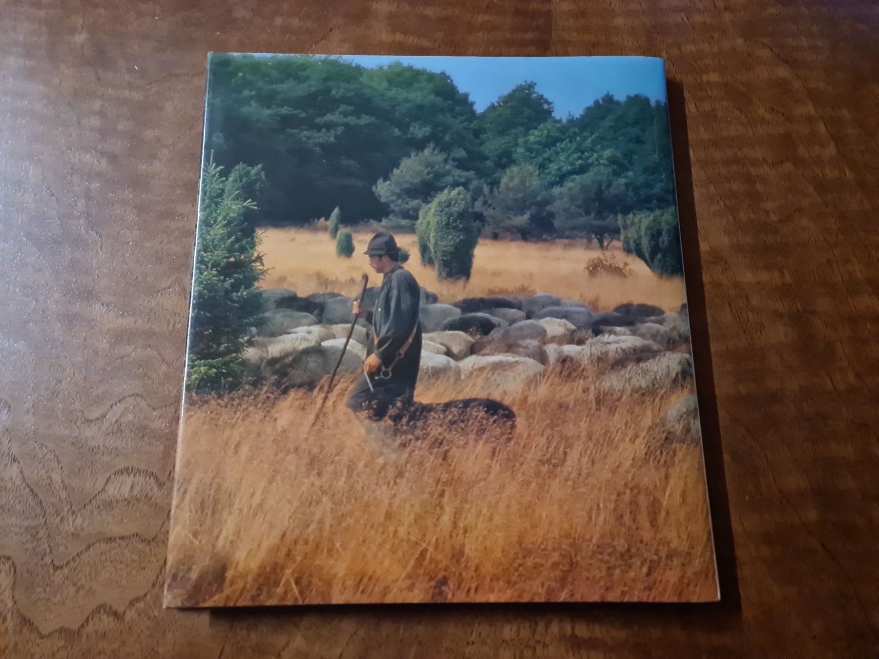Libri: Lüneburger Heide – Usato da Erstfeld venduto da Mario_boe0 3
