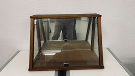 Vitrine/Sammlervitrine aus Holz und Glas zu verkaufen.