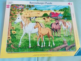 Pferde Puzzle