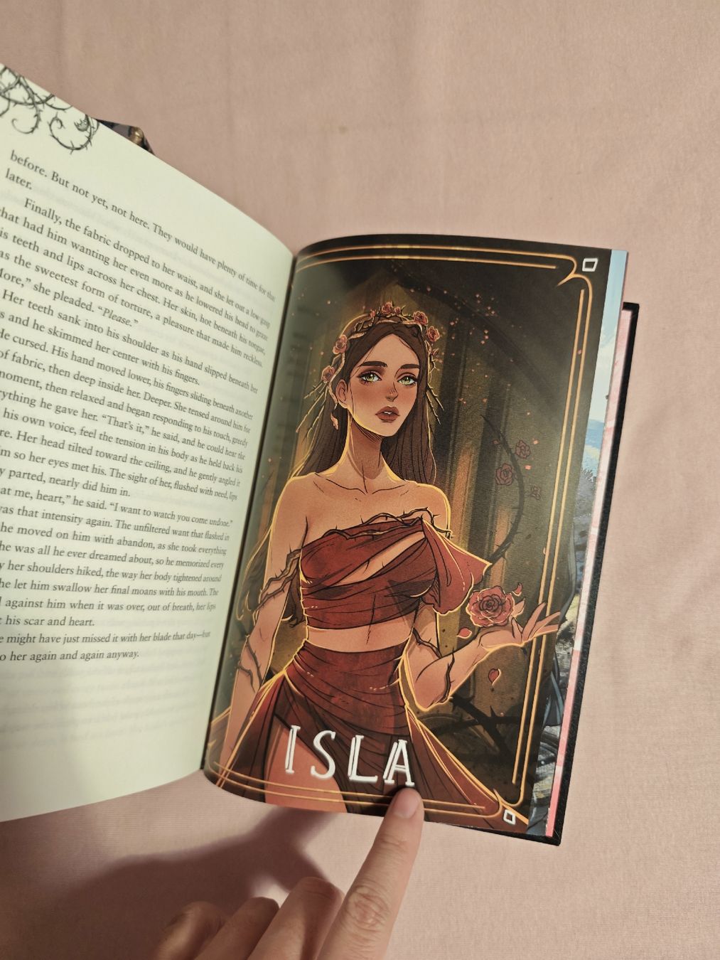 Libri: Lightlark Collector's Edition by Alex Aster – Nuovo (secondo la descrizione) da Grandvaux venduto da Freezemoon 4