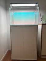 Aquarium Aquascape Set Eheim WRGB2 - beleuchtete Rückwand