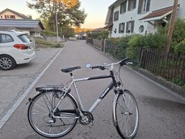 Villiger Fahrrad mit zwei Seitentaschen 