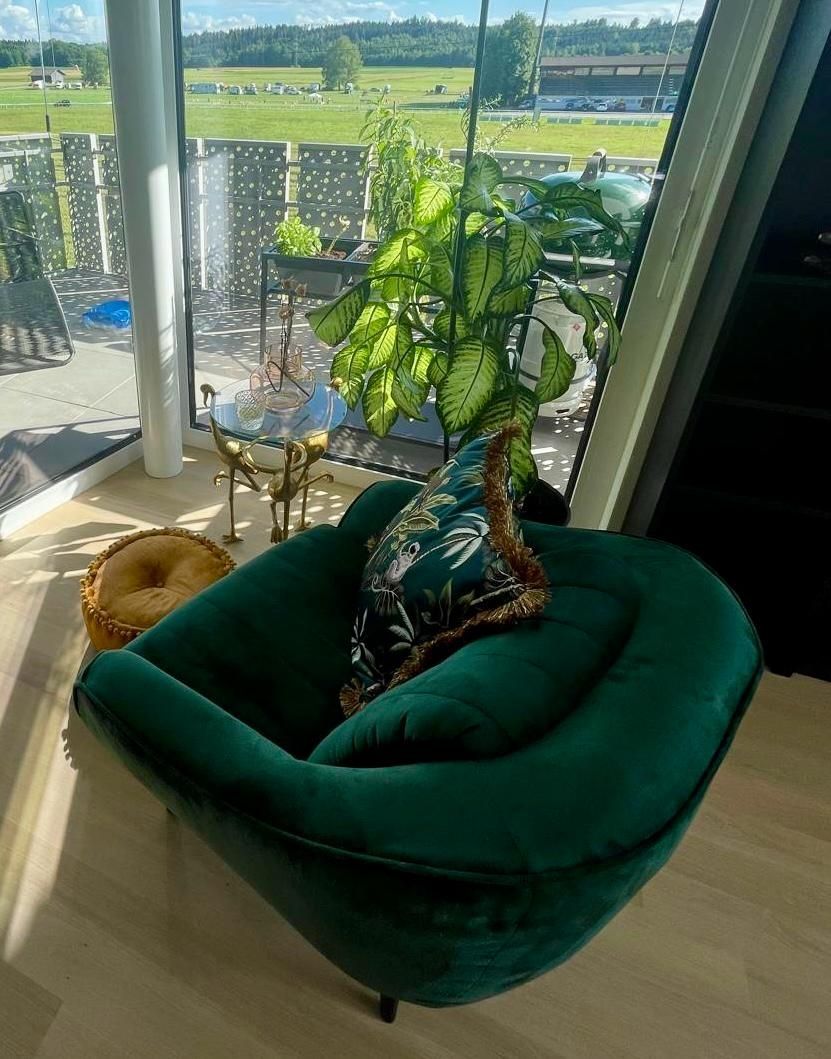 Sofas: Grünes Sofa & Sessel – Gebraucht aus Effretikon von jer_g5t7 1