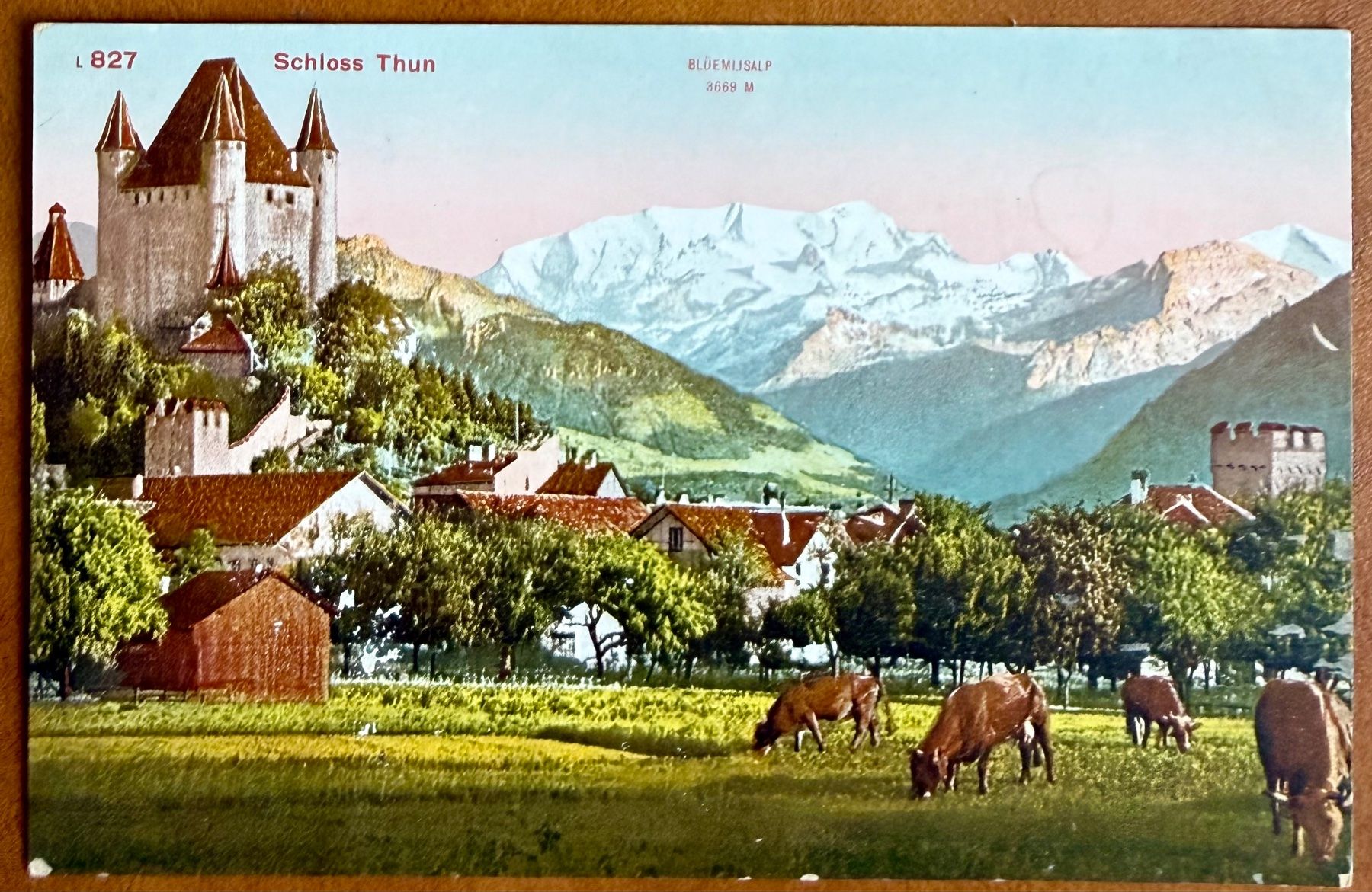 Cartoline postali: Thun - Kühe - AK – Usato da Lutry venduto da Ediego