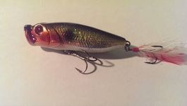 Popper Bass Ioda 68 mm