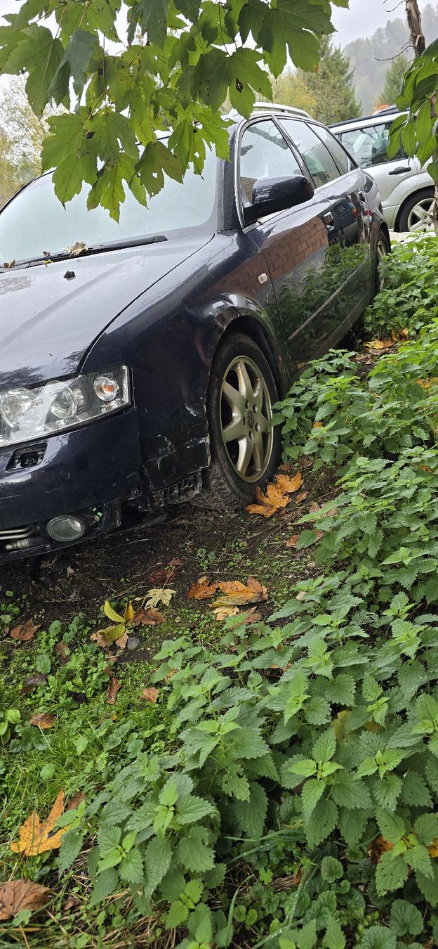 Audi Autos: Audi  a4 b6 3.0 – Defekt aus Steg im Tösstal von 12case55 3
