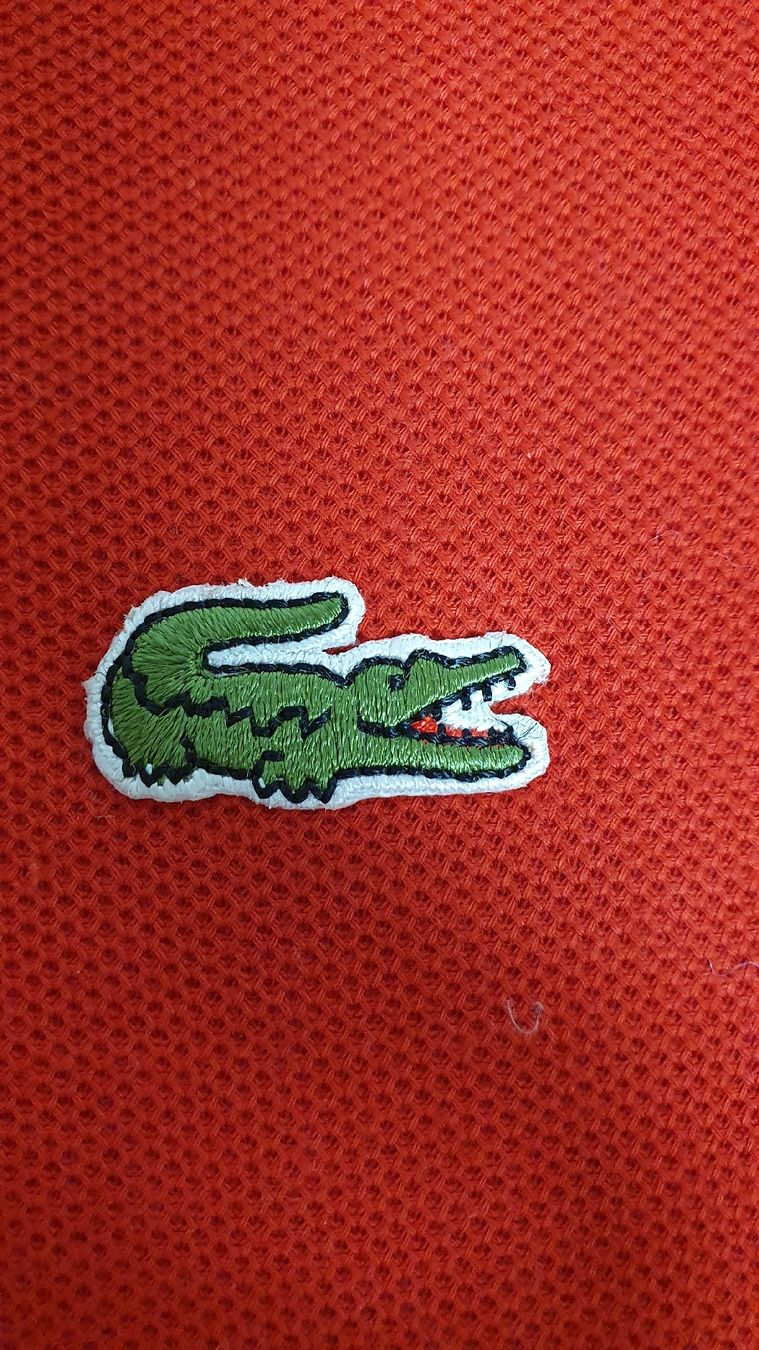 Lacoste Magliette Polo: Lacoste Poloshirts G M/S – Usato da Maienfeld venduto da tobeyl2020 2