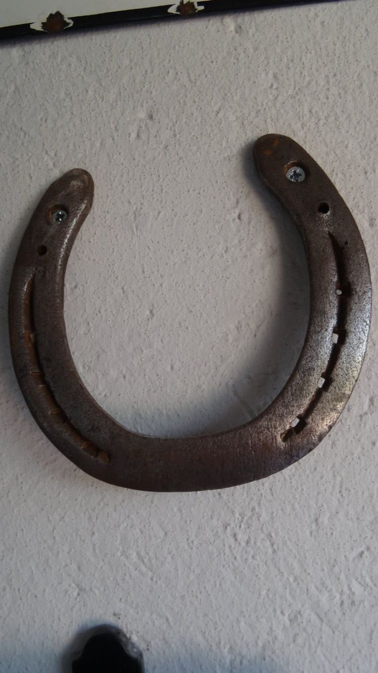 Altro in Accessori per animali: Hufeisen Deko alt gebraucht – Usato da Ehrendingen venduto da CHMEX
