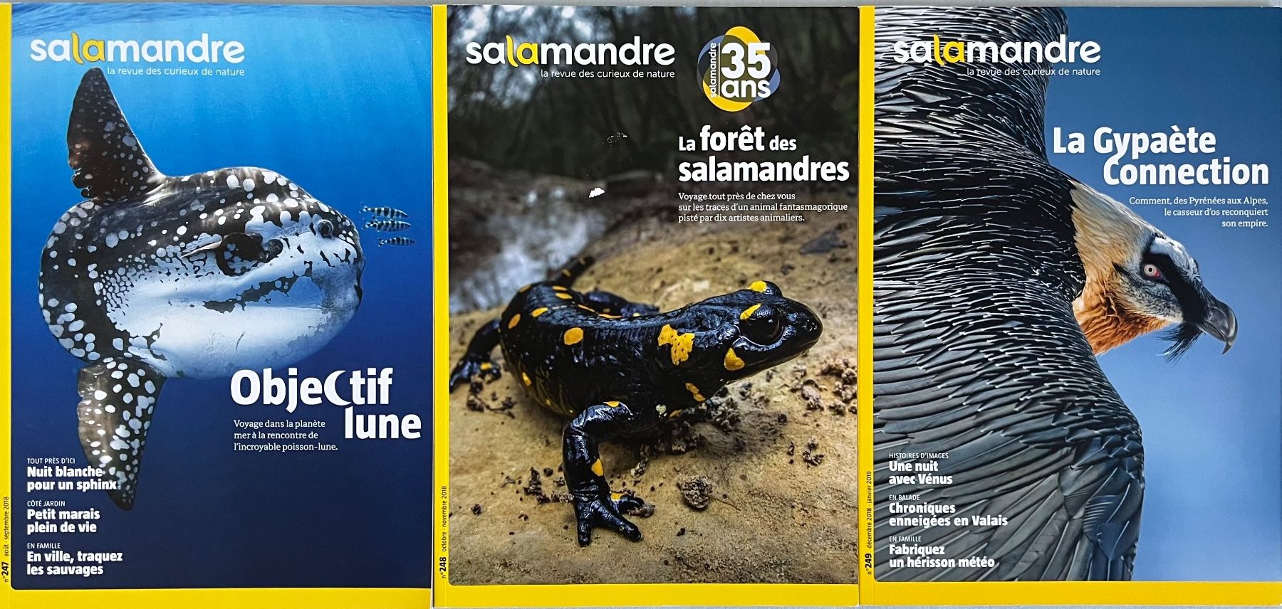 Riviste & Magazine: La Salamandre - 3 numéros – Usato da Le Crêt-p-Semsales venduto da staglione69