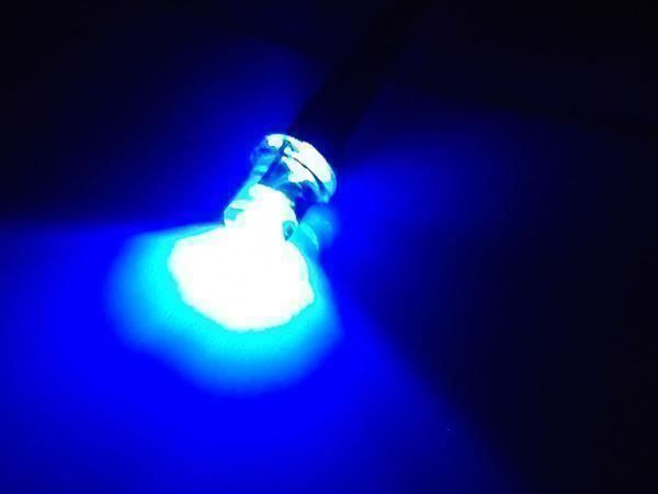 Componenti elettronici: Flachkopf-LED 3mm verkabelt 12V DC, blau – Nuovo (secondo la descrizione) da Luzern venduto da Salefactory