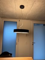 HÄNGELAMPE PHILIPS HUE DESIGN ELEMENT TOP NP: 299CHF