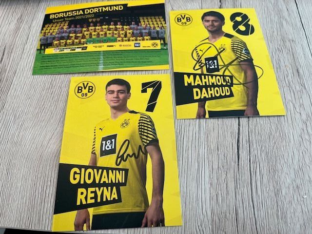 Autografi: BVB Autogrammkarten Saison 2021/2022 - Reyna, Dahoud – Nuovo (secondo la descrizione) da Naters venduto da juveman