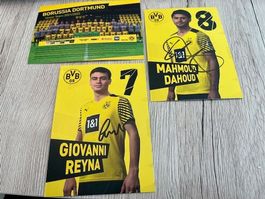 BVB Autogrammkarten Saison 2021/2022 - Reyna, Dahoud