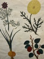 MARCHAND Ferdinand dessin plantes natures