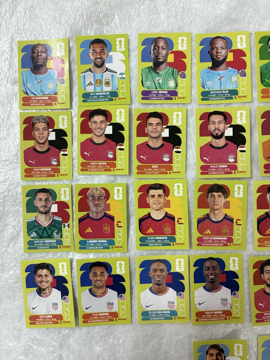 Panini Carte collezionabili: Panini WM 2026 Sammelbilder  – Usato da Emmen venduto da paesu6 1