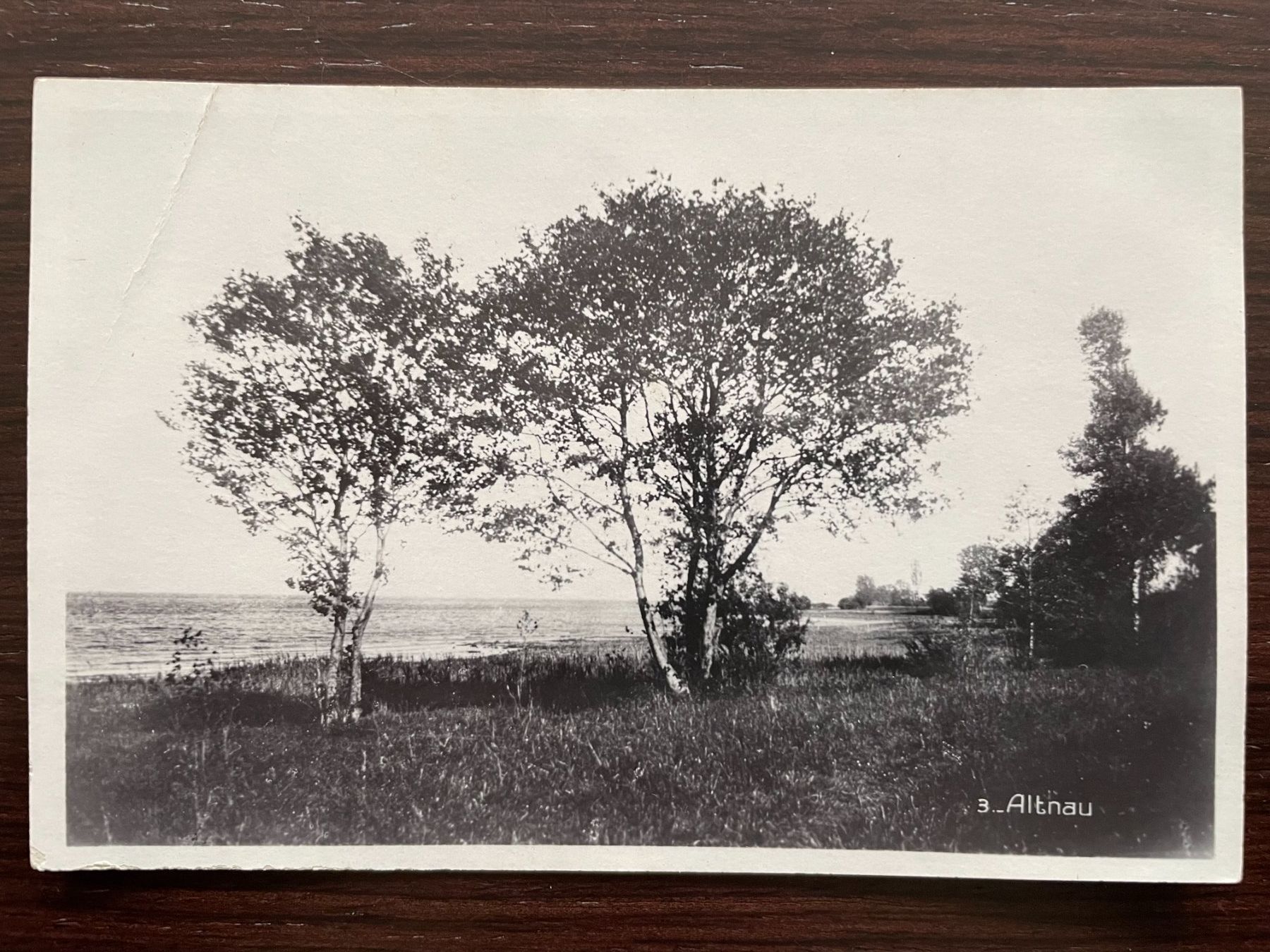 Cartoline postali: ALTNAU Partie am Bodensee, 1933 – Usato da Wald ZH venduto da TLILEF