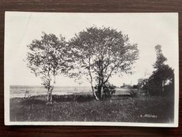ALTNAU Partie am Bodensee, 1933